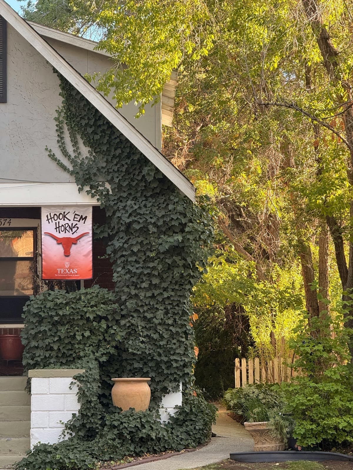 Hays County Property Tax Protests: 2026 Guide